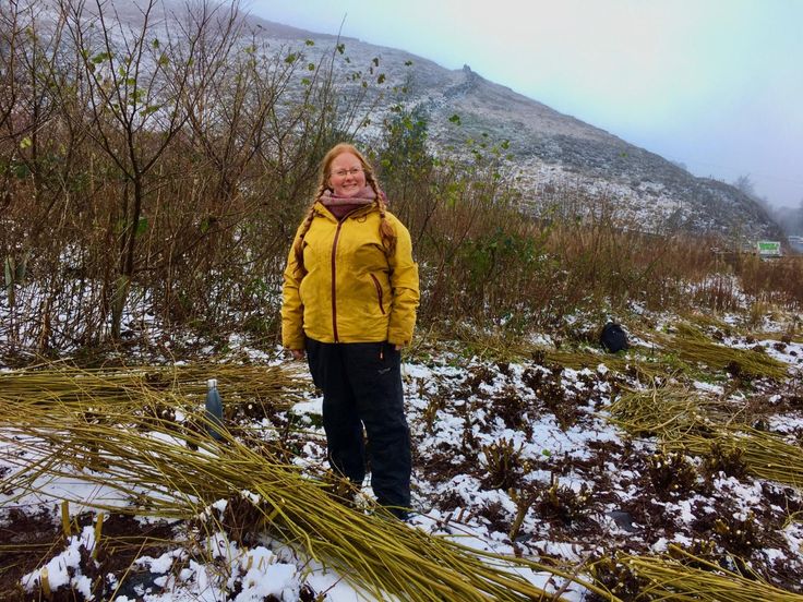 My Life with Willow || Blog