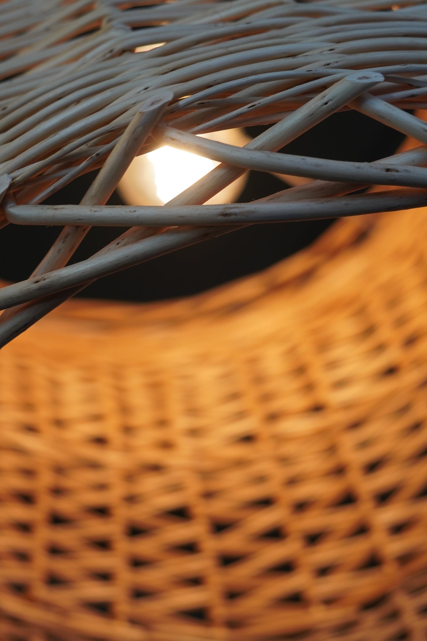 Willow Lampshade Workshop with Joe Gregory