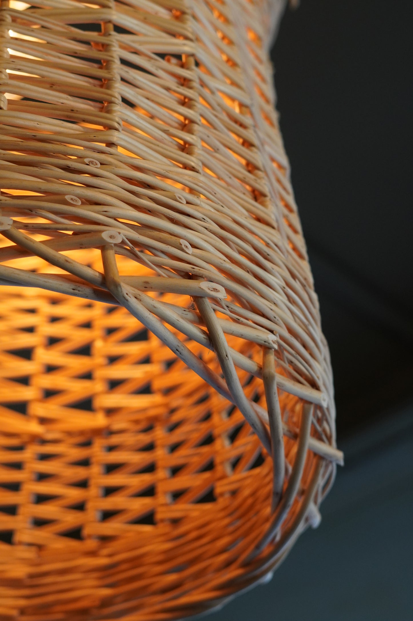 Willow Lampshade Workshop with Joe Gregory