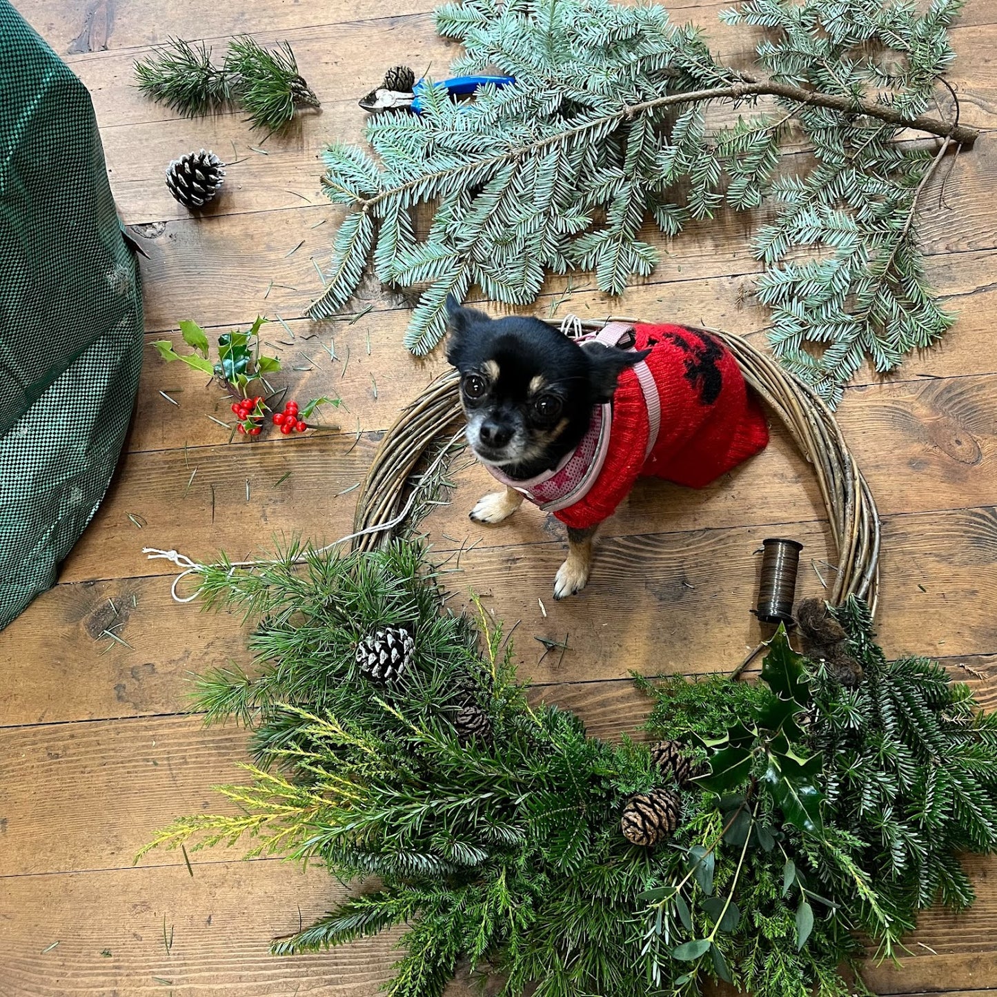 Winter Wreath Workshop with Anthea Thornber