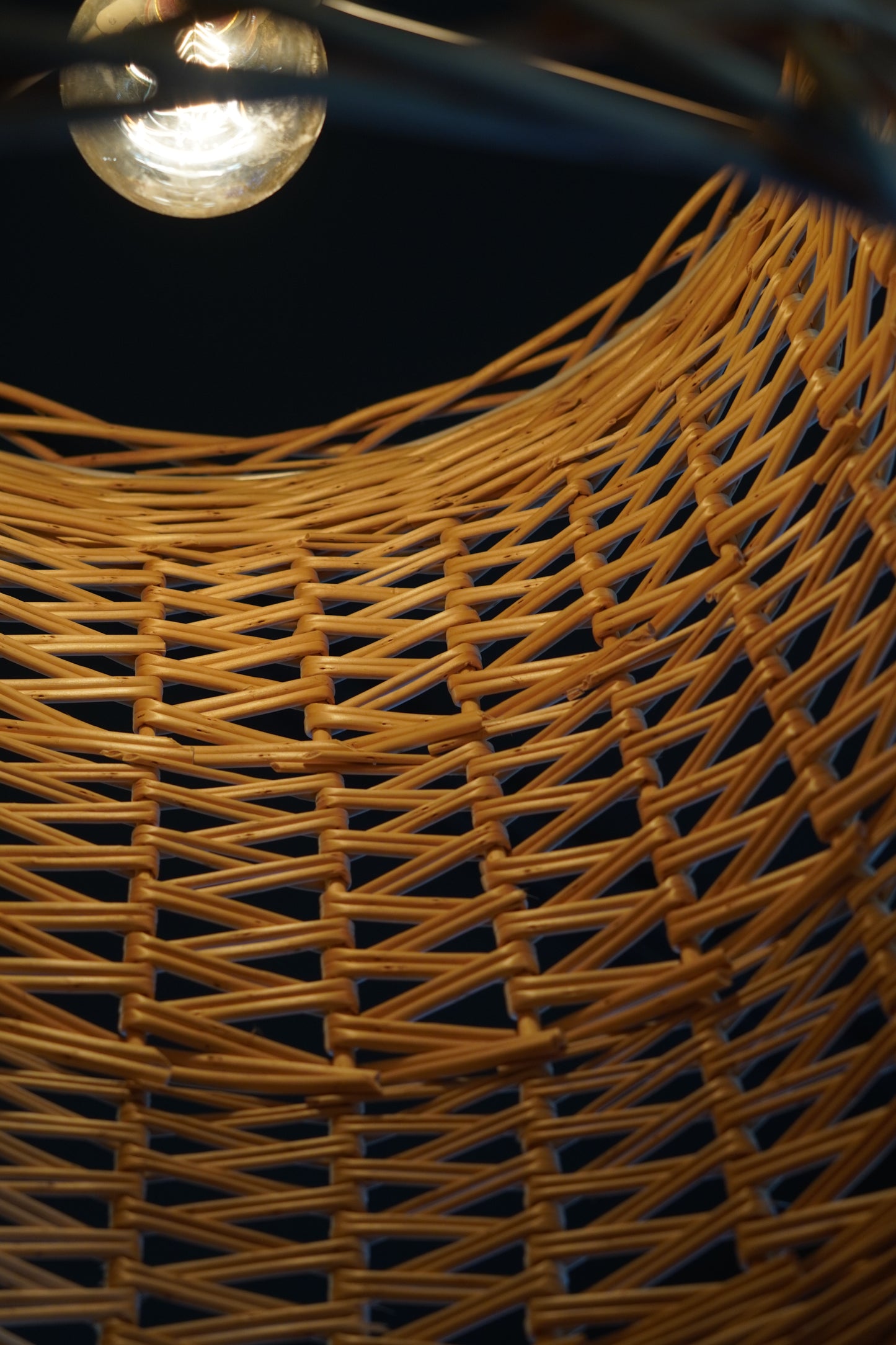 Willow Lampshade Workshop with Joe Gregory