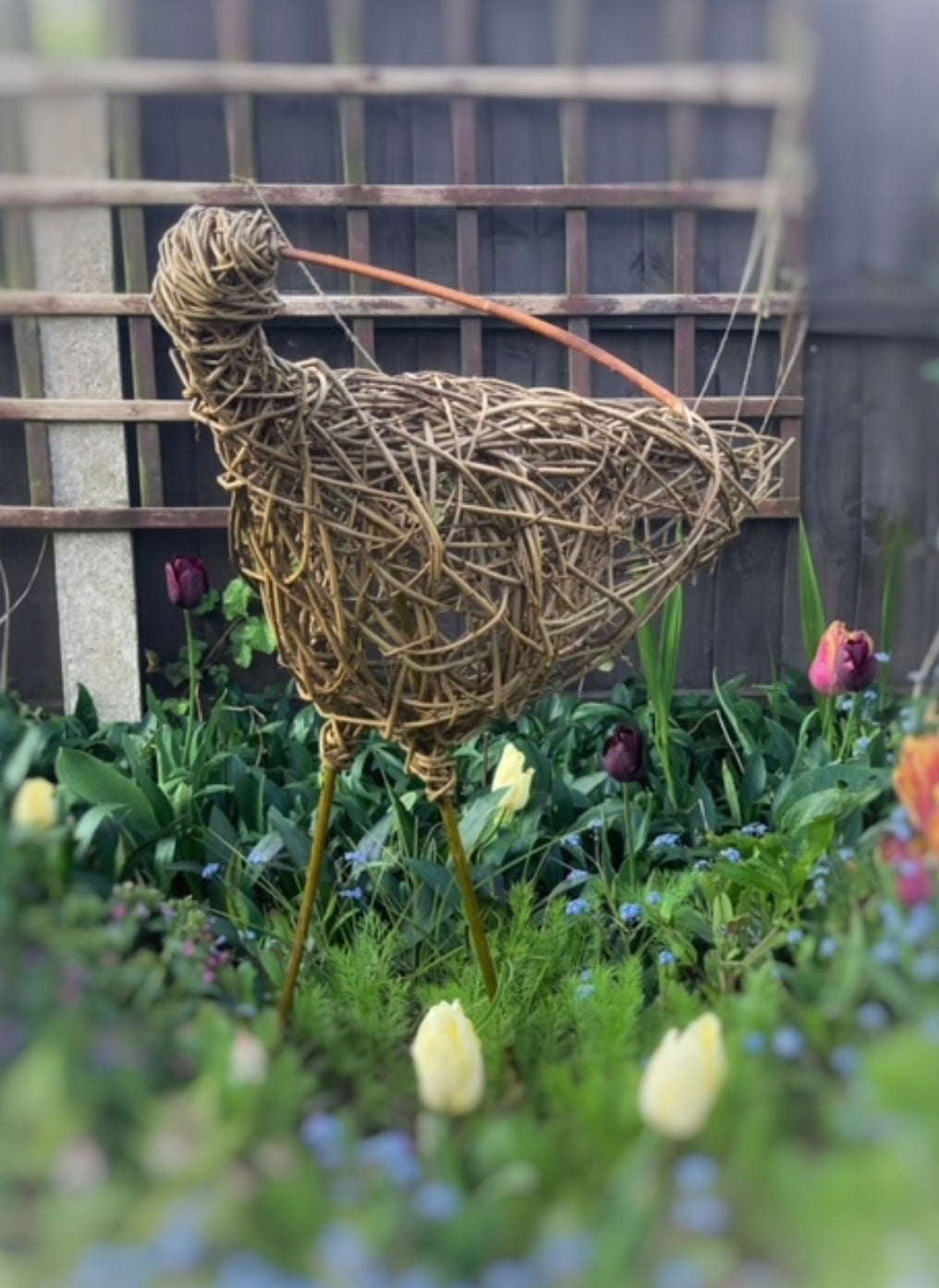 Willow Bird Sculpture Workshop with Joe Gregory