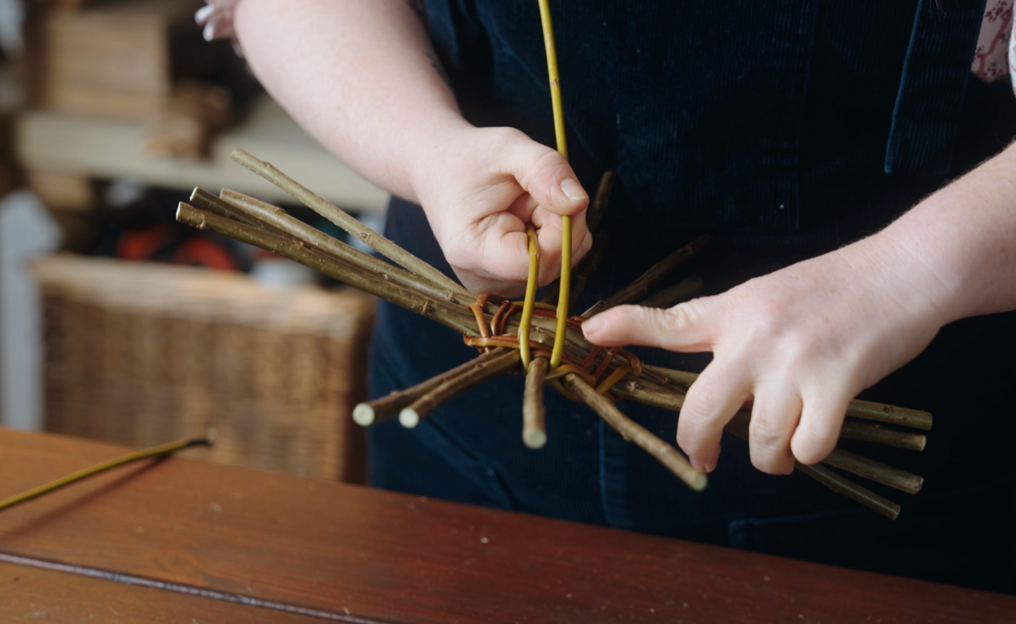 How to Prepare Willow PDF