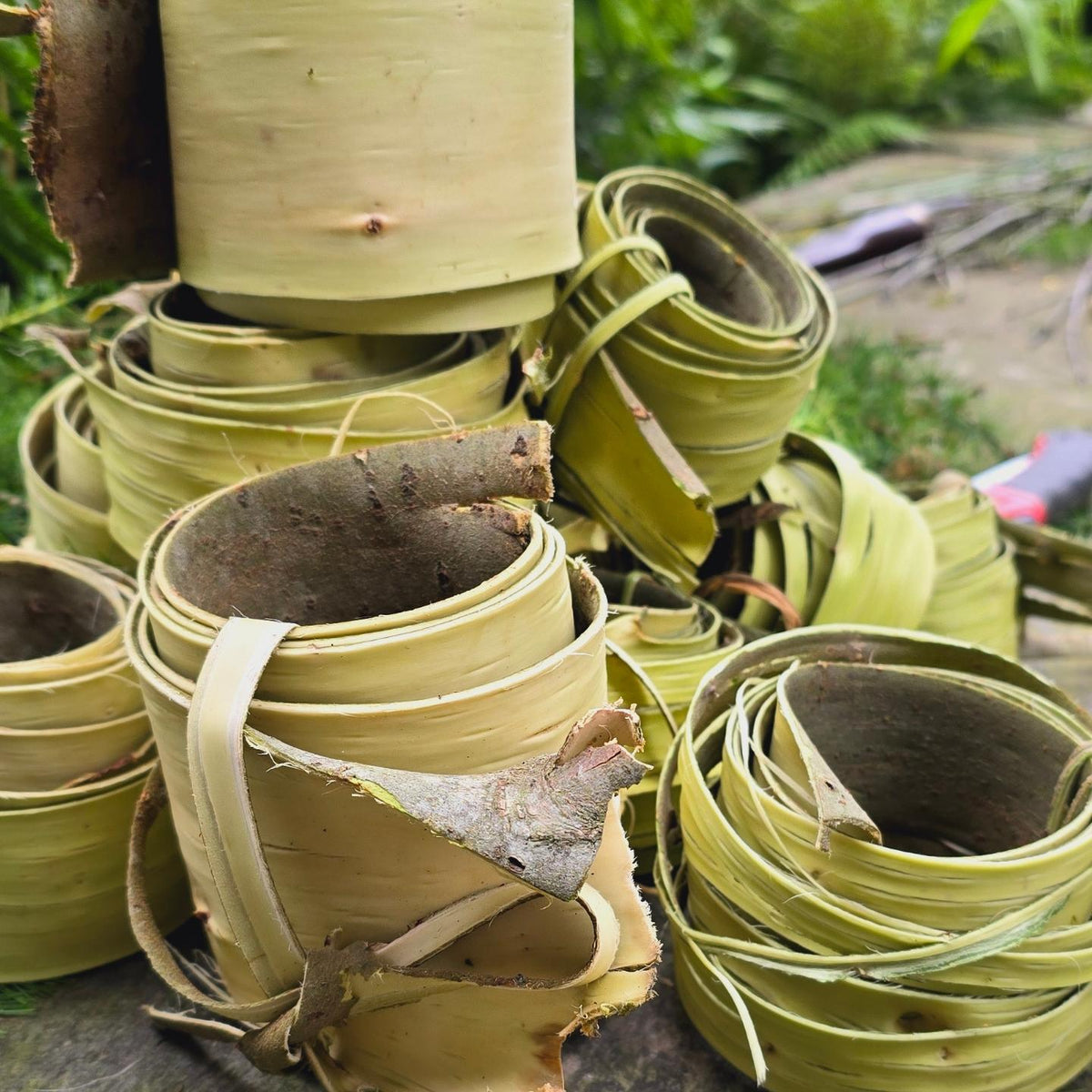 Foraged Basket Making – Saturday 24th – Sunday 25th April