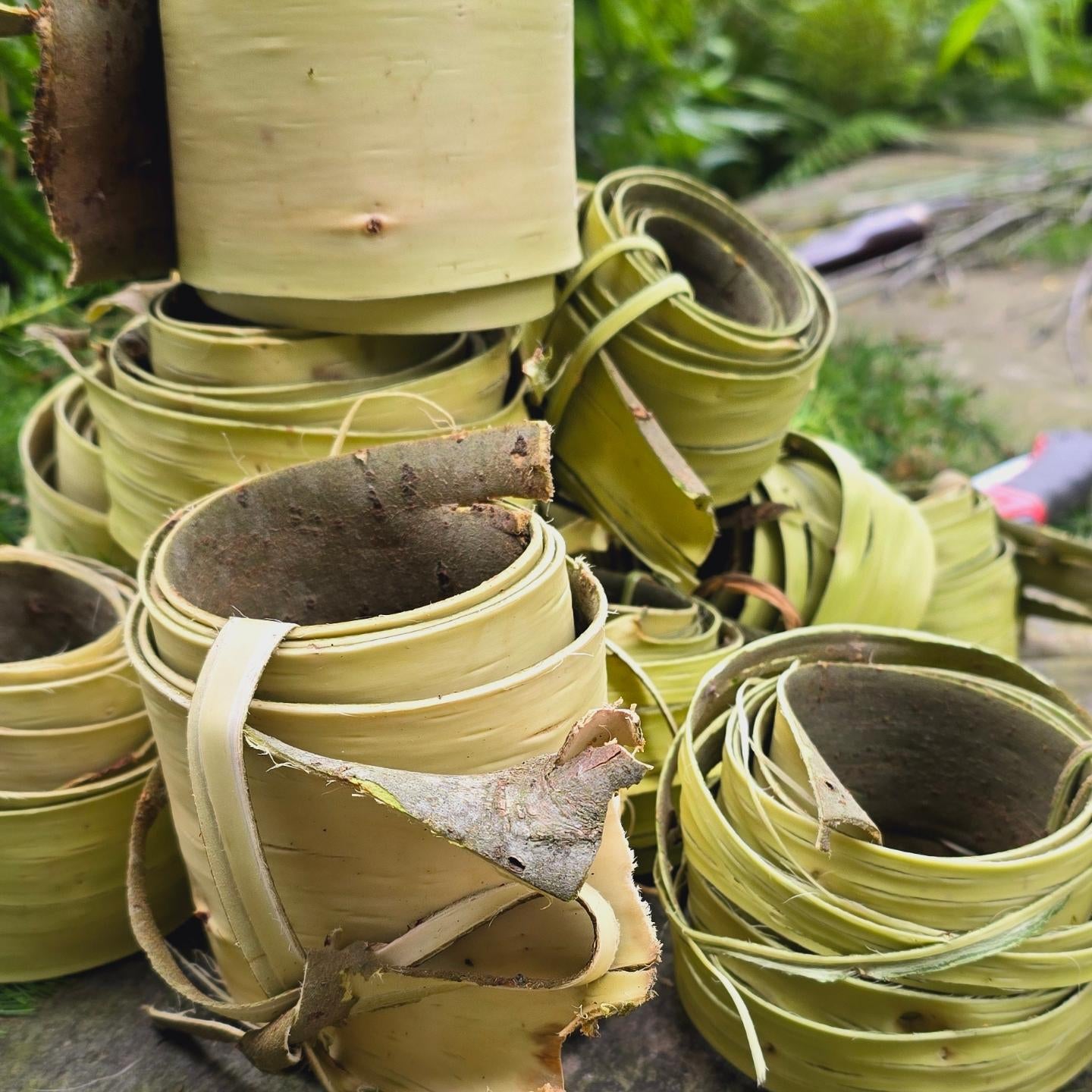 Willow Skills & Techniques Day with Joe Gregory *new - FULL*