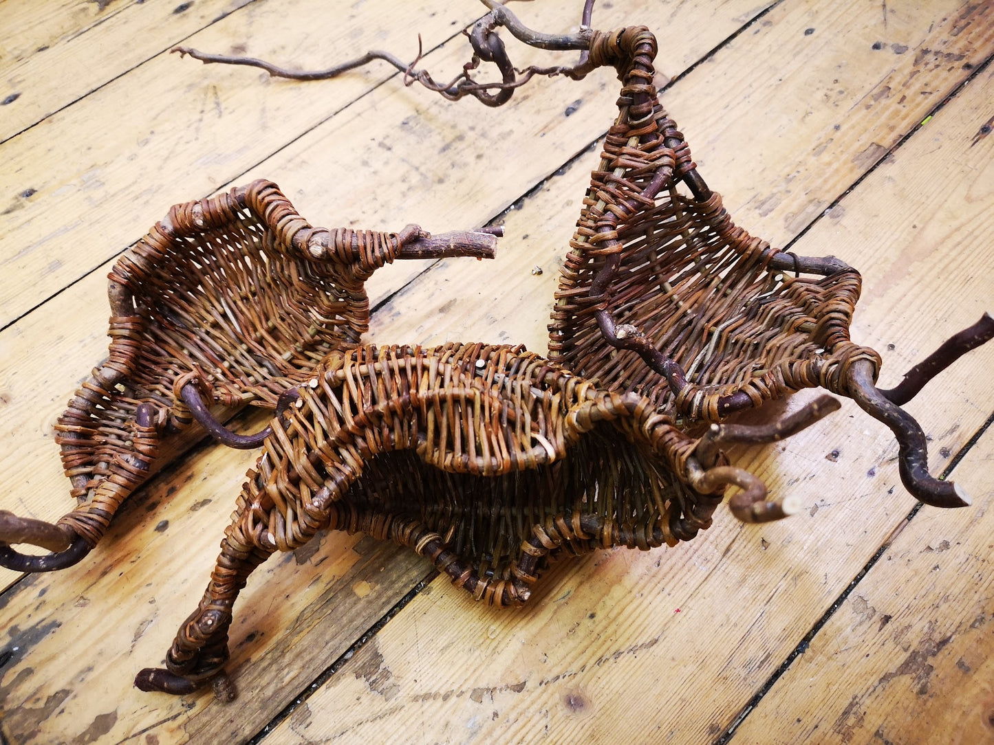 Willow Skills & Techniques Day with Joe Gregory *new - FULL*