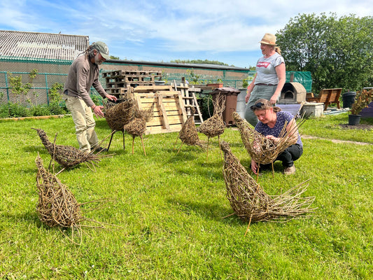 Willow Bird Sculpture Workshop with Joe Gregory
