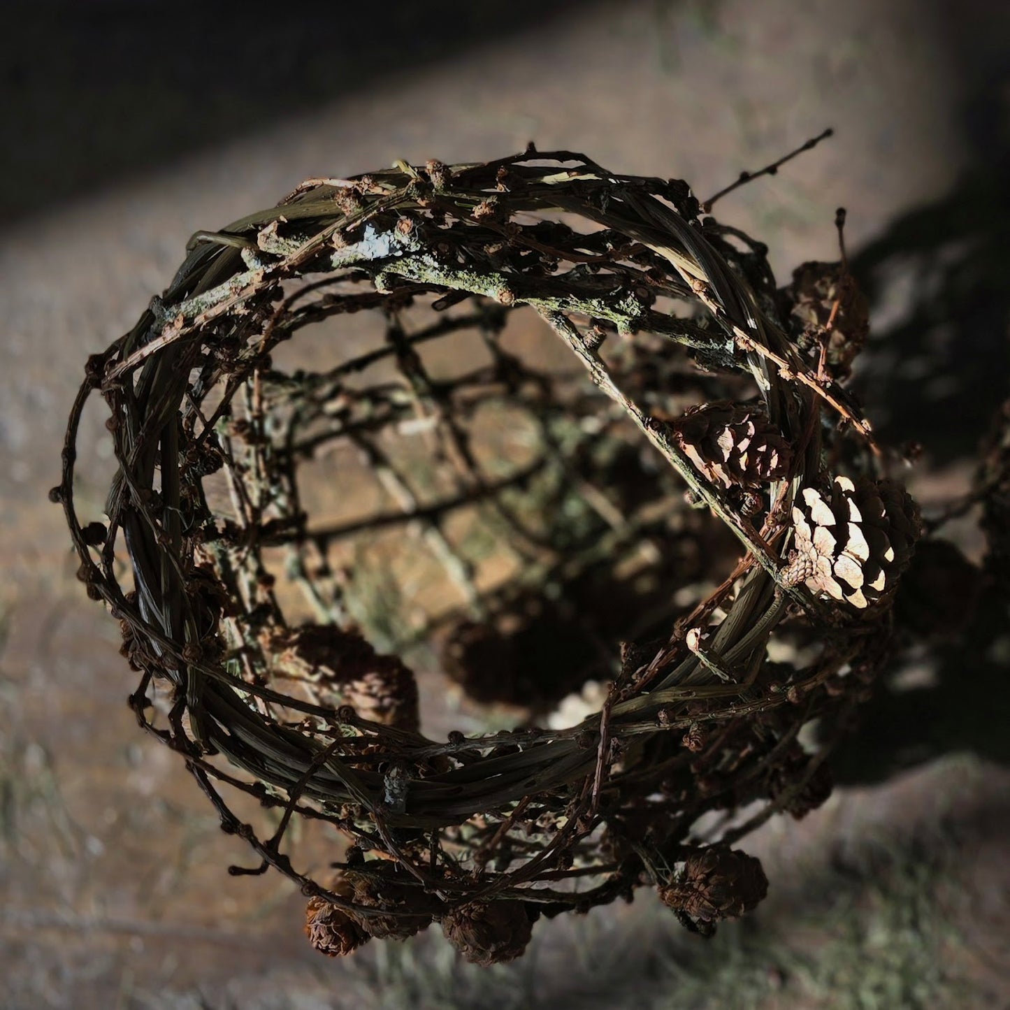 Willow Skills & Techniques Day with Joe Gregory *new - FULL*