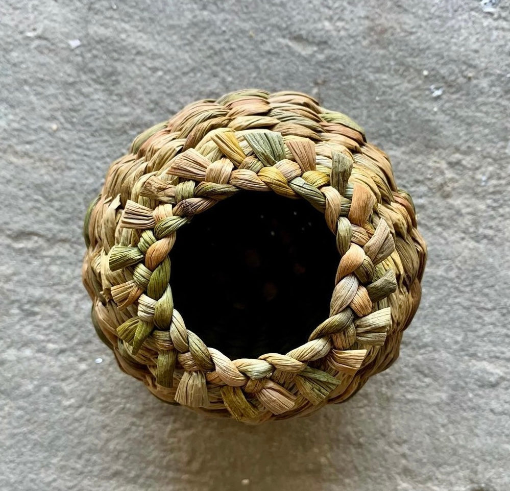 Willow Skills & Techniques Day with Joe Gregory *new - FULL*