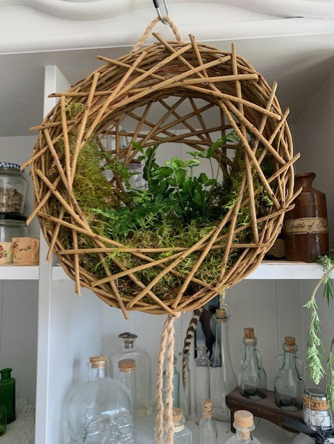 Willow Plant Hanging Basket Half Day Workshop with Joe Gregory